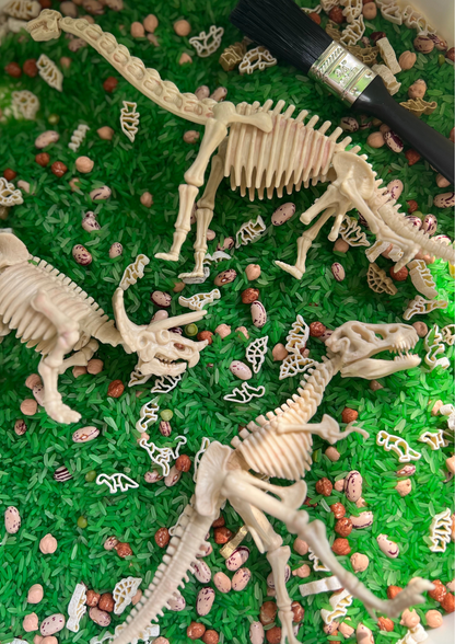 JURRASIC JOURNEY